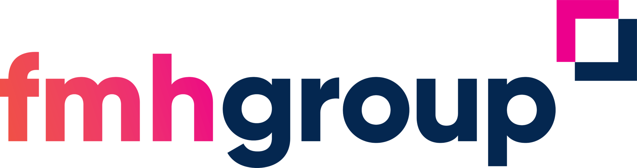 FMH Group